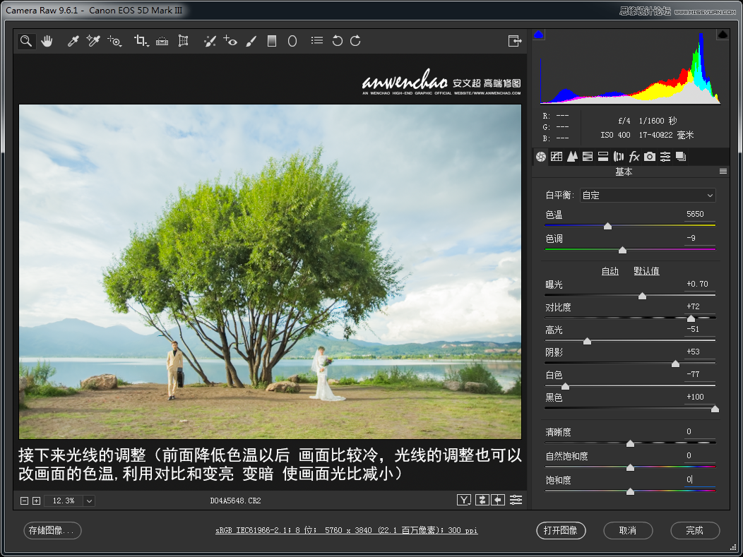 Photoshop调出干净透亮清新的外景婚纱照片