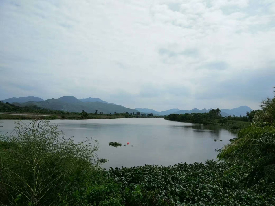 Photoshop快速的把风景照片变成水墨画效果