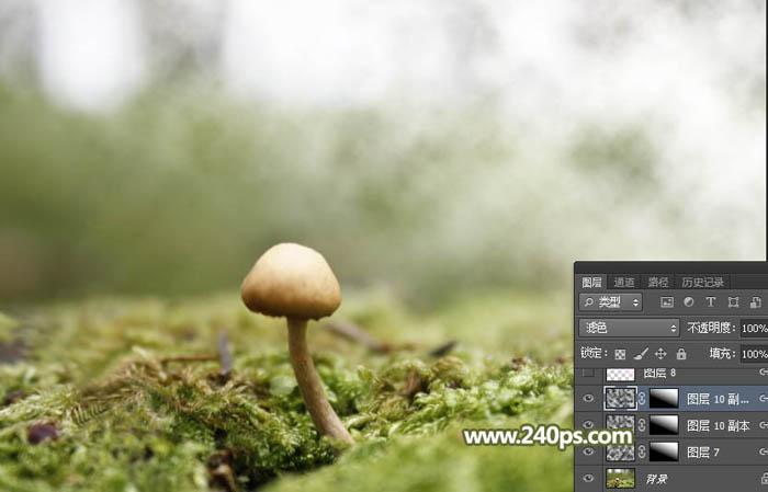 PhotoshopϳĢϵСʹͼƬ