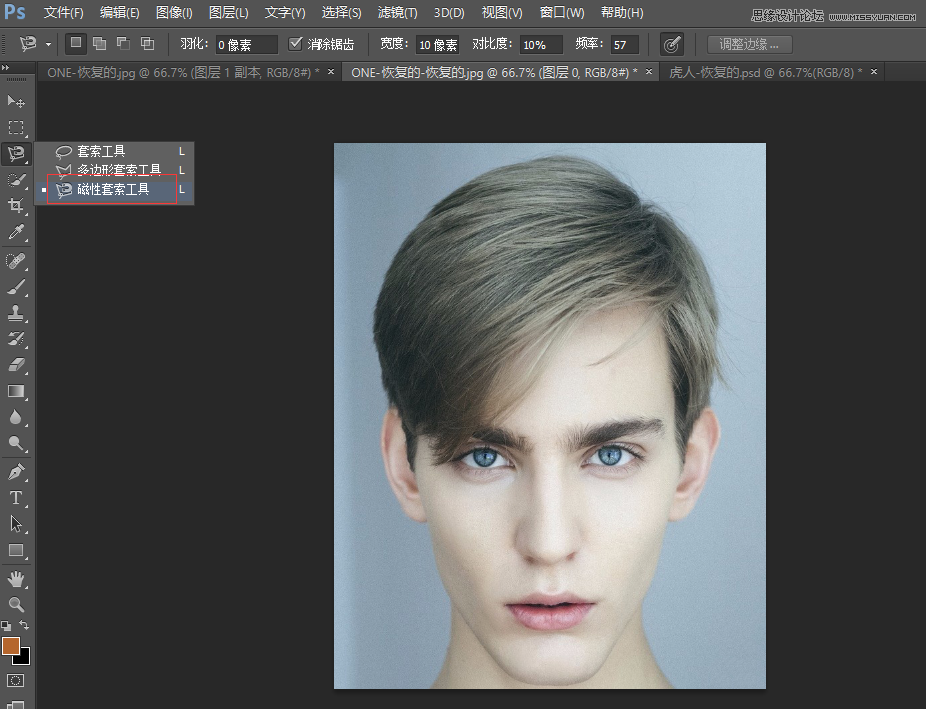 Photoshop详细解析老虎头像和人脸创意合成