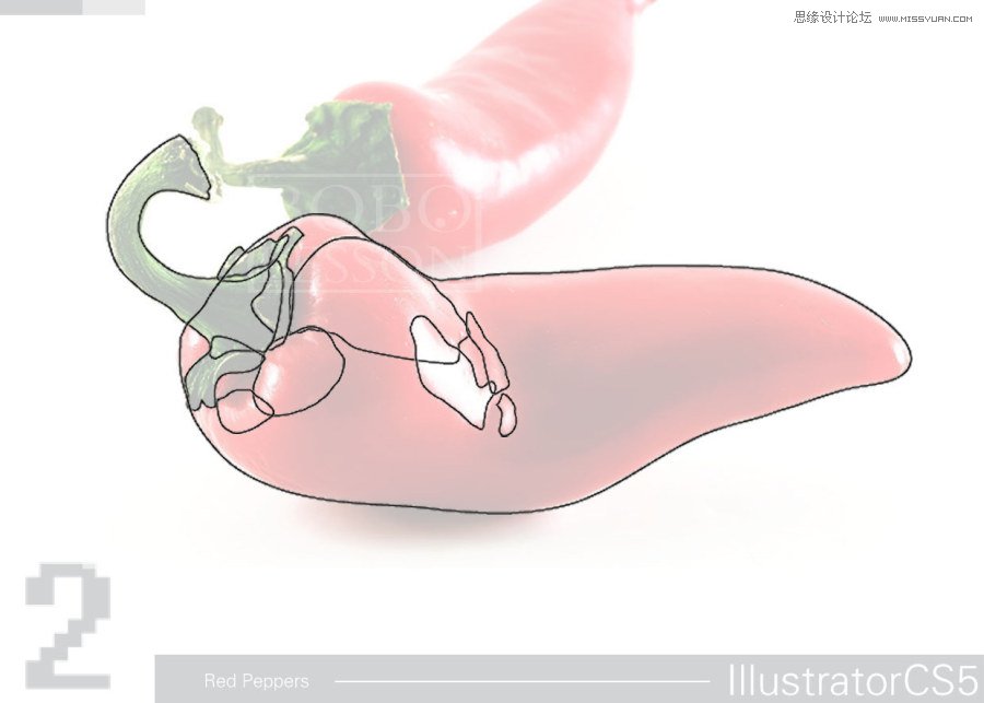Illustrator CS5绘制逼真的红辣椒教程,PS教程,