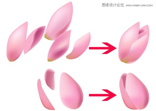 Illustrator使用渐变网格工具绘制漂亮郁金香,PS教程,