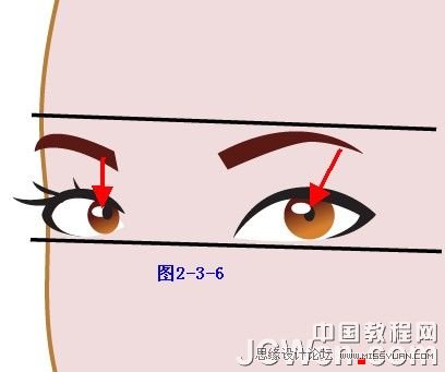 Illustrator插画人物系列之清纯美女的绘制,PS教程,
