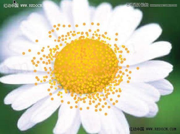 Illustrator绘制漂亮的白色雏菊效果,PS教程,